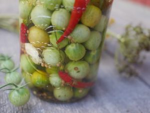 Lactofermented Green Cherry Tomato Pickles