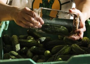 Each jar of Sunshine Farms dill pickles is packed with a clove of home-grown organic garlic and a tablespoon of dill seed. For the brine, Sunshine brings in organic vinegar from Stayner. (Tara Walton)