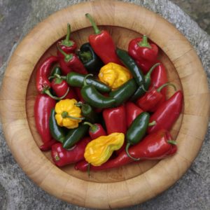 Peppers love heat so this summer's steamy temperatures have led to an abundance of the veggies in all colors and varieties. Derek Davis/Staff Photographer