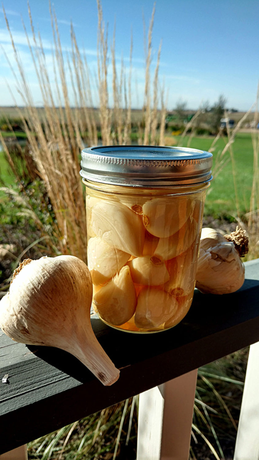 Pickled Garlic Texas Titos